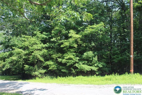 Photo of 12 Turkey Ridge Drive, Polk Twp, PA 18058 (MLS # 781036)