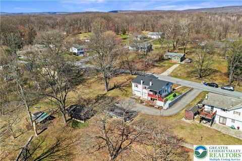 Photo of 407 Jones Street, Portland Boro, PA 18343 (MLS # 773859)