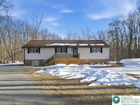 Photo of 4630 Forest Street, Penn Forest Twp, PA 18235 (MLS # 772368)
