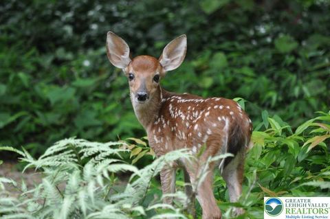 Photo of 94 Blairwood Lane, Tunkhannock Twp, PA 18210 (MLS # 766396) Photo of 94 Blairwood Lane, Tunkhannock Twp, PA 18210 (MLS # 766396)