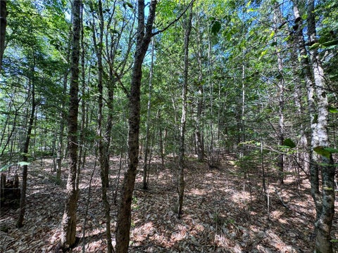 Vacant Land For Sale - 511 N Shore Drive & Linden Drive<br/> Penn Forest Twp, PA 18210