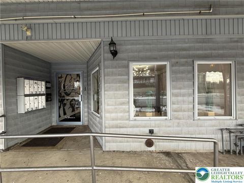 Photo of 519 Front Street, Catasauqua Boro, PA 18032 (MLS # 770411)