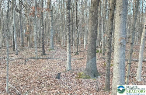 Photo for 6 Occonquan Trail 1723