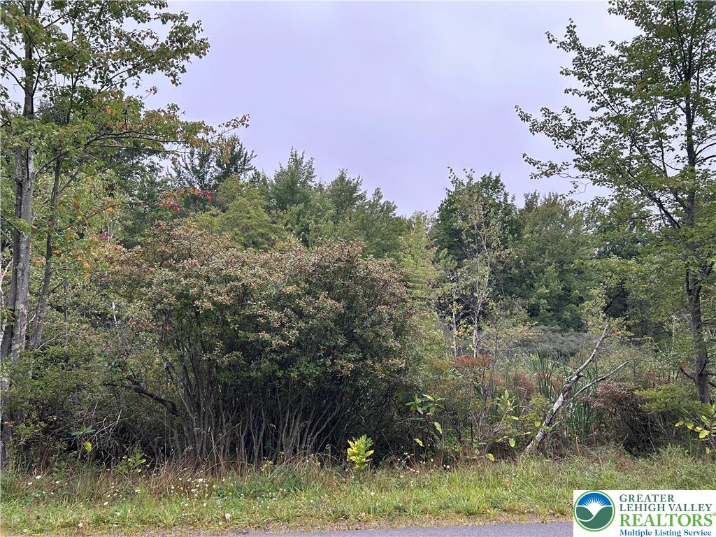 1325 Glade Drive Lot 7143