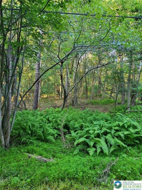Photo of 168 Cross Street #3, Tobyhanna Twp, PA 18347 (MLS # 777641)
