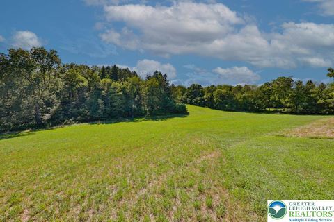Photo of Summer Mountain Road, Towamensing Twp, PA 18071 (MLS # 766897) Photo of Summer Mountain Road, Towamensing Twp, PA 18071 (MLS # 766897)