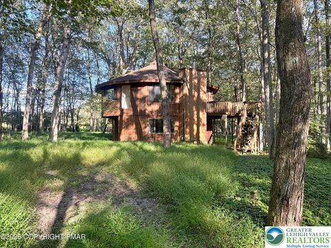 101 Dogwood Drive, Penn Forest Twp, PA 18229 - MLS#: 768344