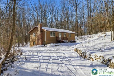 Photo of 143 Anglemire Drive, Jackson Twp, PA 18360 (MLS # 769387)