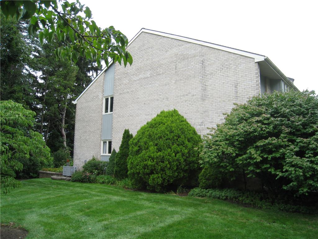 301 Carver Drive