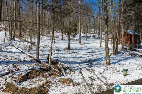 Photo of 2058 River Road, Upper Mt Bethel Twp, PA 18343 (MLS # 772362)