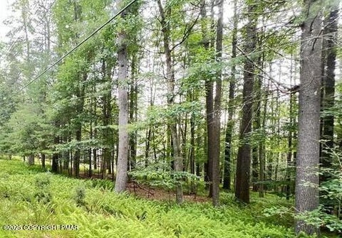 Vacant Land For Sale - Stony Hollow Circle<br/> Lehman Twp, PA 18324