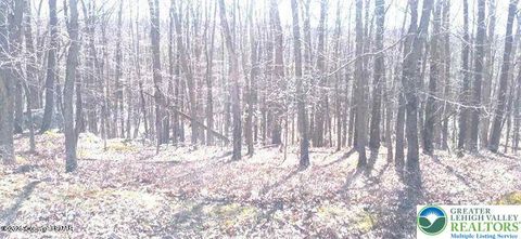 Photo of 132 Kenoza Drive, North Union Twp, PA 18202 (MLS # 770186)