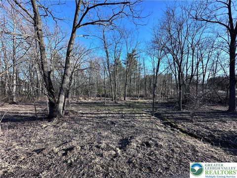 Photo of Walnut Drive, Lehigh Twp, PA 18038 (MLS # 759562) Photo of Walnut Drive, Lehigh Twp, PA 18038 (MLS # 759562)