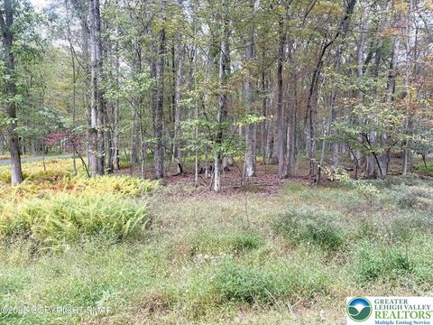 Willow Drive, Penn Forest Twp, PA 18229 - MLS#: 768346