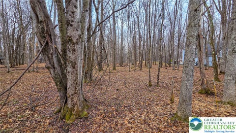 Vacant Land For Sale - Linden Drive #622<br/> Tunkhannock Twp, PA 18210