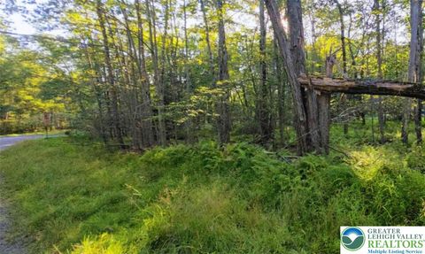 Photo of 260 Pontiac Path Path, Coolbaugh Twp, PA 18347 (MLS # 762948) Photo of 260 Pontiac Path Path, Coolbaugh Twp, PA 18347 (MLS # 762948)