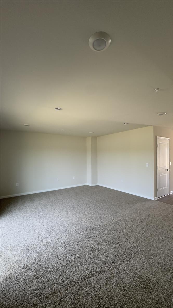 8203 Brodie Court