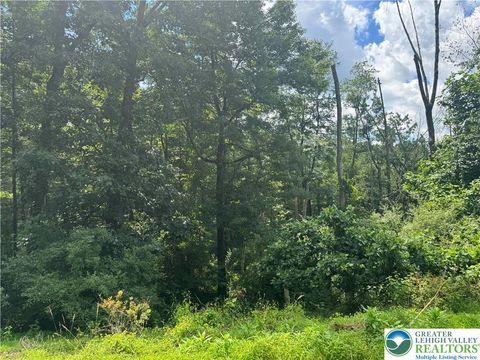 Photo of 98 Jacoby Run Road, Upper Mt Bethel Twp, PA 18343 (MLS # 760944) Photo of 98 Jacoby Run Road, Upper Mt Bethel Twp, PA 18343 (MLS # 760944)