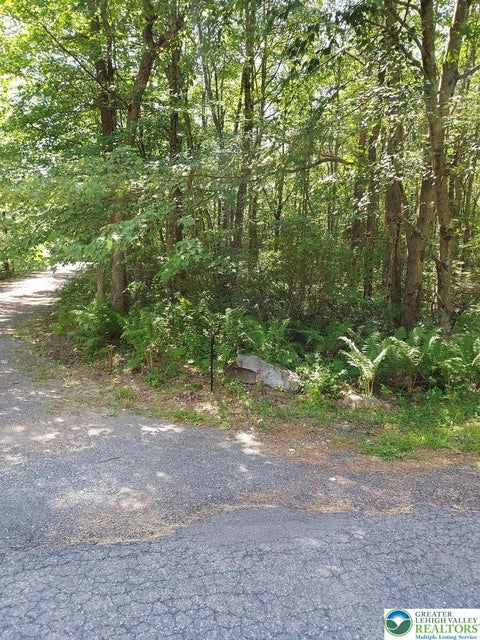 Vacant Land For Sale - Sycamore Lane #B193  B194<br/> Penn Forest Twp, PA 18229