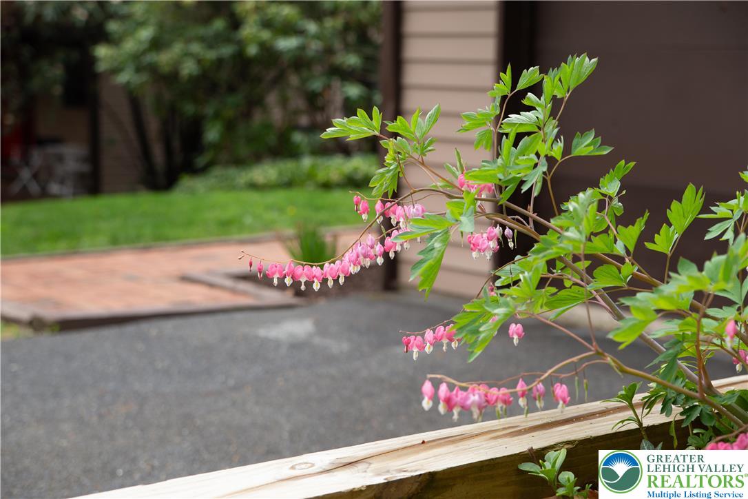 710 McCartney Street