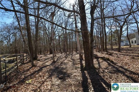 Photo of Stony Mountain Road, Penn Forest Twp, PA 18210 (MLS # 770149)