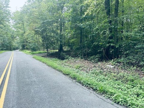 Vacant Land For Sale - 9050 Reservoir Road<br/> Heidelberg Twp, PA 18053
