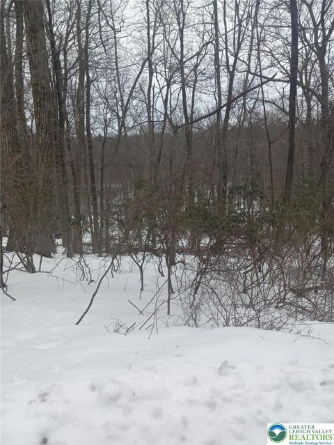 Photo of 81 Bear Cub Path, Pocono Twp, PA 18355 (MLS # 774795)