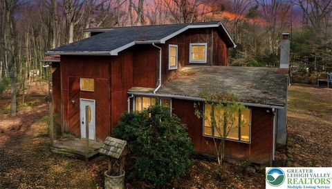 Photo of 125 Ash Lane, Polk Twp, PA 18058 (MLS # 767726)