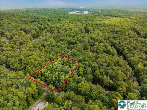 Photo of 812 Beaver Run Road, Tobyhanna Twp, PA 18347 (MLS # 763017) Photo of 812 Beaver Run Road, Tobyhanna Twp, PA 18347 (MLS # 763017)
