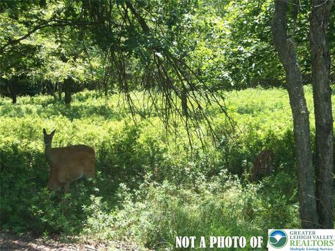 Photo of Mohawk Trail, Penn Forest Twp, PA 18210 (MLS # 775664)