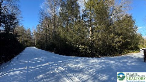 Photo of 0 Driftwood Drive, Kidder Twp, PA 18210 (MLS # 771799)