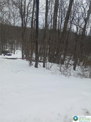 BEAR CUB PATH, SCOTRUN, PA 18355 - Image 83b8b8aab3e1875bf8b7ad29c3eb2ae3/4149836709