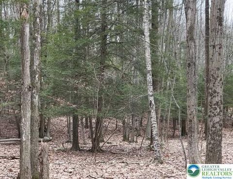 153 Pine Tree Drive, Paradise Twp, PA 18326 - MLS#: 767446