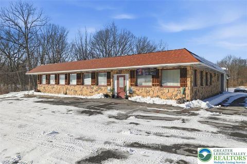 Photo of 361 Interchange Road, Polk Twp, PA 18333 (MLS # 771574)