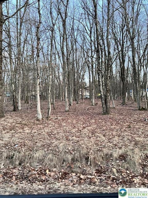 Vacant Land For Sale - 436 Mountain Road #404<br/> Tunkhannock Twp, PA 18210