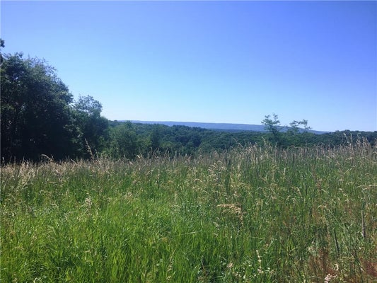 ADDRESS PRIVATE, LEHIGHTON, PA 18235 - Image 8d2e6107d47f8a55623515852c1e4ea4/3999609167