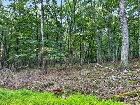 Vacant Land For Sale - Cowaw Road<br/> Milford, PA 18337