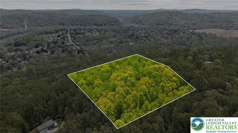 Photo of Flagler Street, Williams Twp, PA 18042 (MLS # 776872)