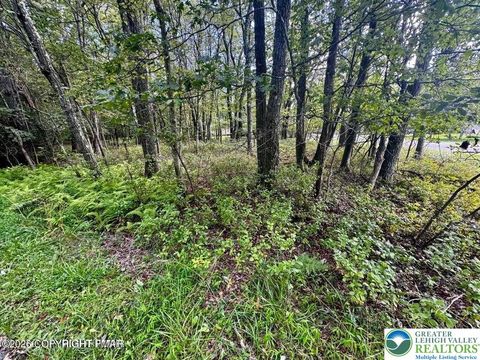 Photo of LOT 14 HT BEAR Lane, Penn Forest Twp, PA 18229 (MLS # 772421)