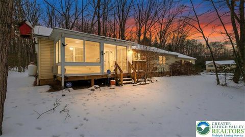 Photo of 183 Dogwood Lane, Polk Twp, PA 18058 (MLS # 770570)