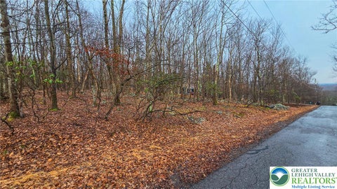 Vacant Land For Sale - Tunkhannock Drive #2105<br/> Tunkhannock Twp, PA 18210