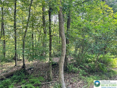 Vacant Land For Sale - St Moritz Court #3F<br/> Monroe County, Price Twp, PA 18332