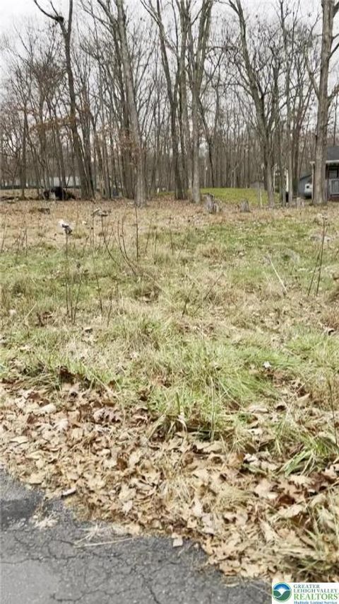 106 Glenbrook Drive Delaware Twp PA 18328