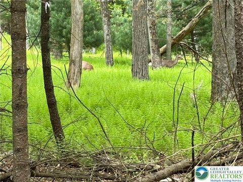 Photo of Male Road, Wind Gap Boro, PA 18091 (MLS # 772574)