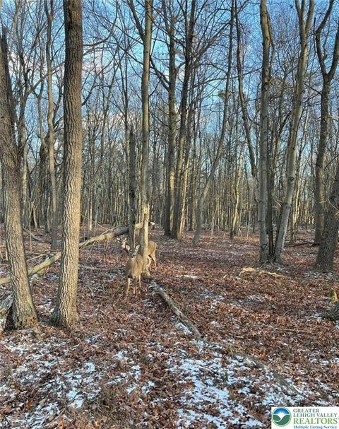 Photo of 124 Ash Drive, Tobyhanna Twp, PA 18334 (MLS # 770763)