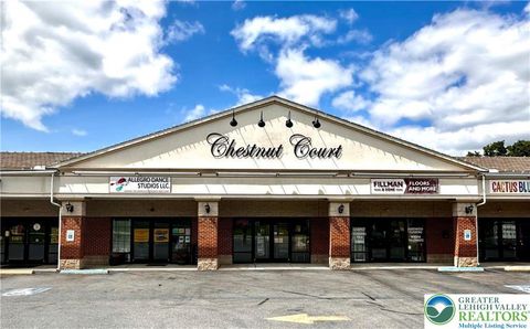 Photo of 4030 Chestnut Street #4, Emmaus Boro, PA 18049 (MLS # 763626) Photo of 4030 Chestnut Street #4, Emmaus Boro, PA 18049 (MLS # 763626)