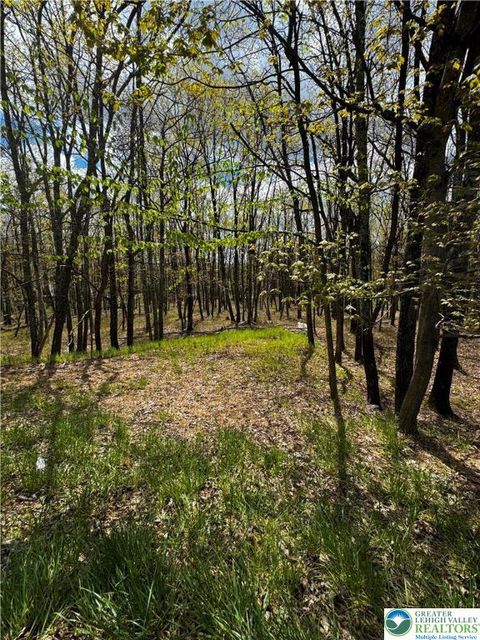 Photo of N Rocky Mountain Drive, Chestnuthill Twp, PA 18330 (MLS # 778017)