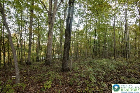 Vacant Land For Sale - 707 Walnut Lane<br/> Penn Forest Twp, PA 18210