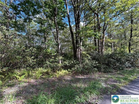 Photo of Lot A12 Rhododendron Road, Penn Forest Twp, PA 18229 (MLS # 764324) Photo of Lot A12 Rhododendron Road, Penn Forest Twp, PA 18229 (MLS # 764324)