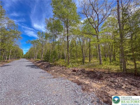 Photo of Cross Run Road #Lot 567, Penn Forest Twp, PA 18229 (MLS # 770180)